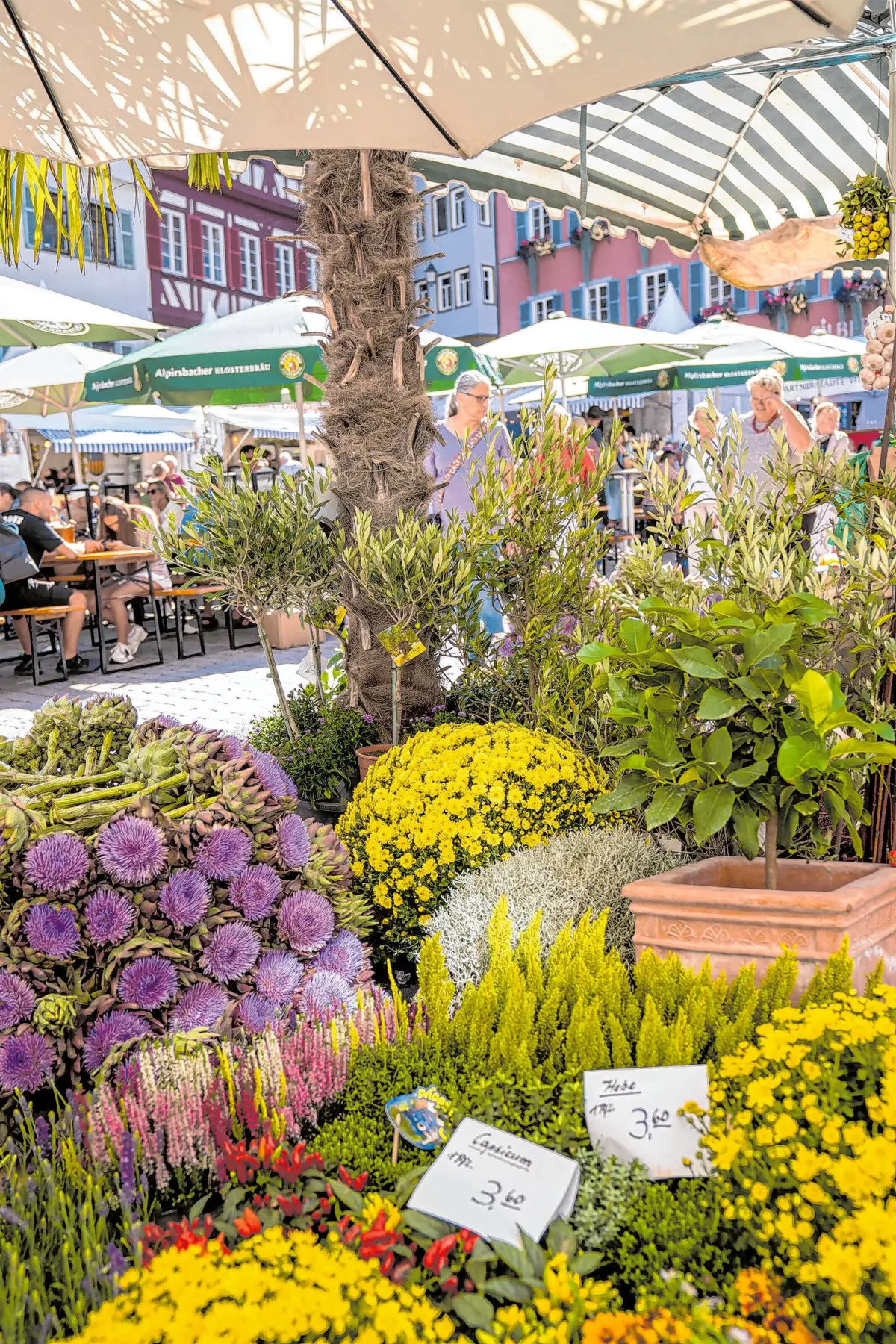 Impressionen vom Umbrisch-Provenzalischen Markt Tübingen. Foto: Tübingen erleben GmbH⇥Tübinger erleben