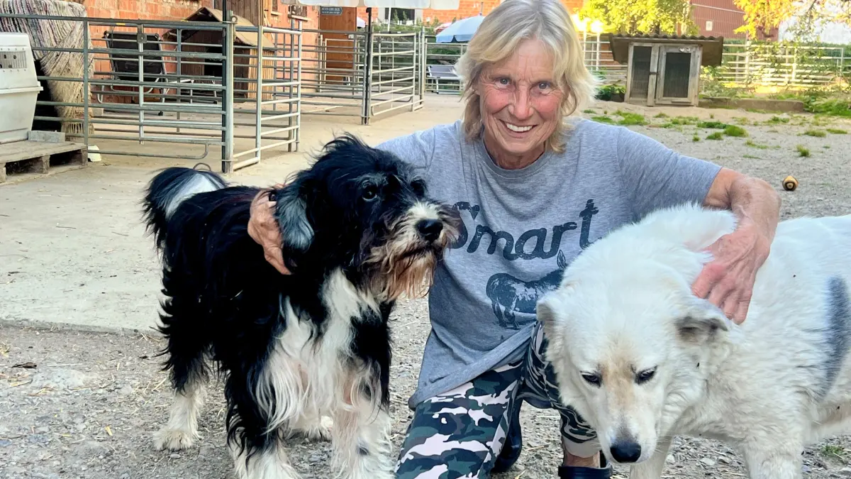 Tierhilfe Hechelein: Susanne Koglin nimmt Tiere die aus schlechter Haltung kommen, ausgesetzt oder misshandelt wurden, aber auch kranke und alte Tiere auf