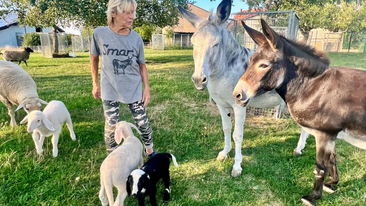 Tierhilfe Hechelein: Susanne Koglin nimmt Tiere die aus schlechter Haltung kommen, ausgesetzt oder misshandelt wurden, aber auch kranke und alte Tiere auf