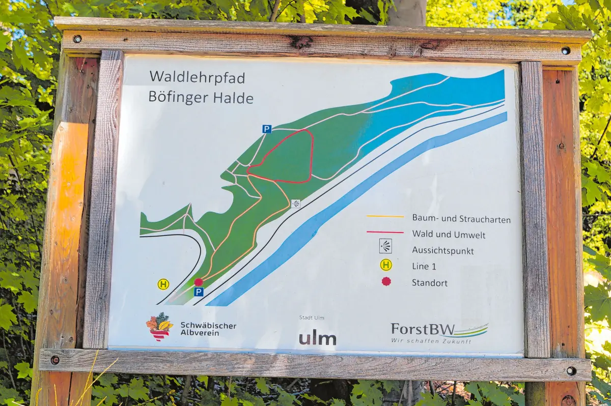 Waldlehrpfad