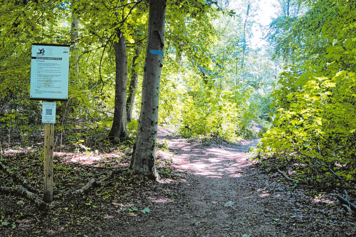 Mountainbike Trail