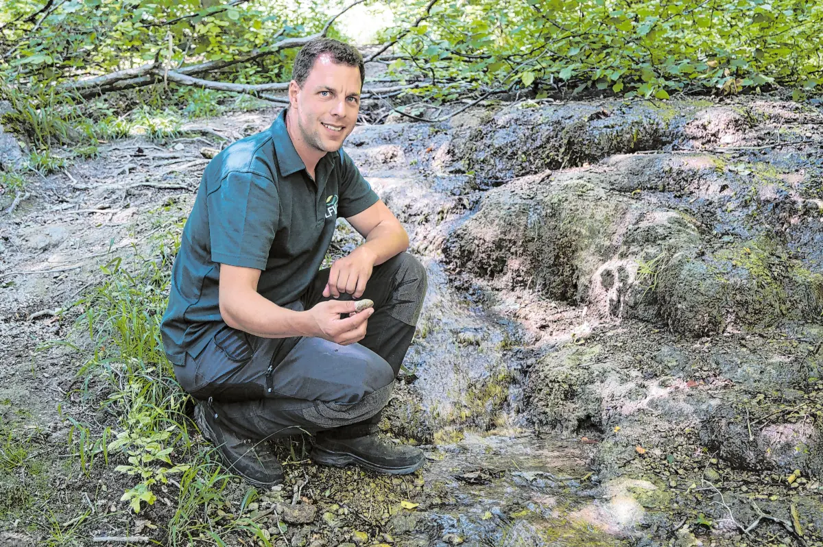 An der Quelle: Förster Tobias Glöggler zeigt eine Versinterung.