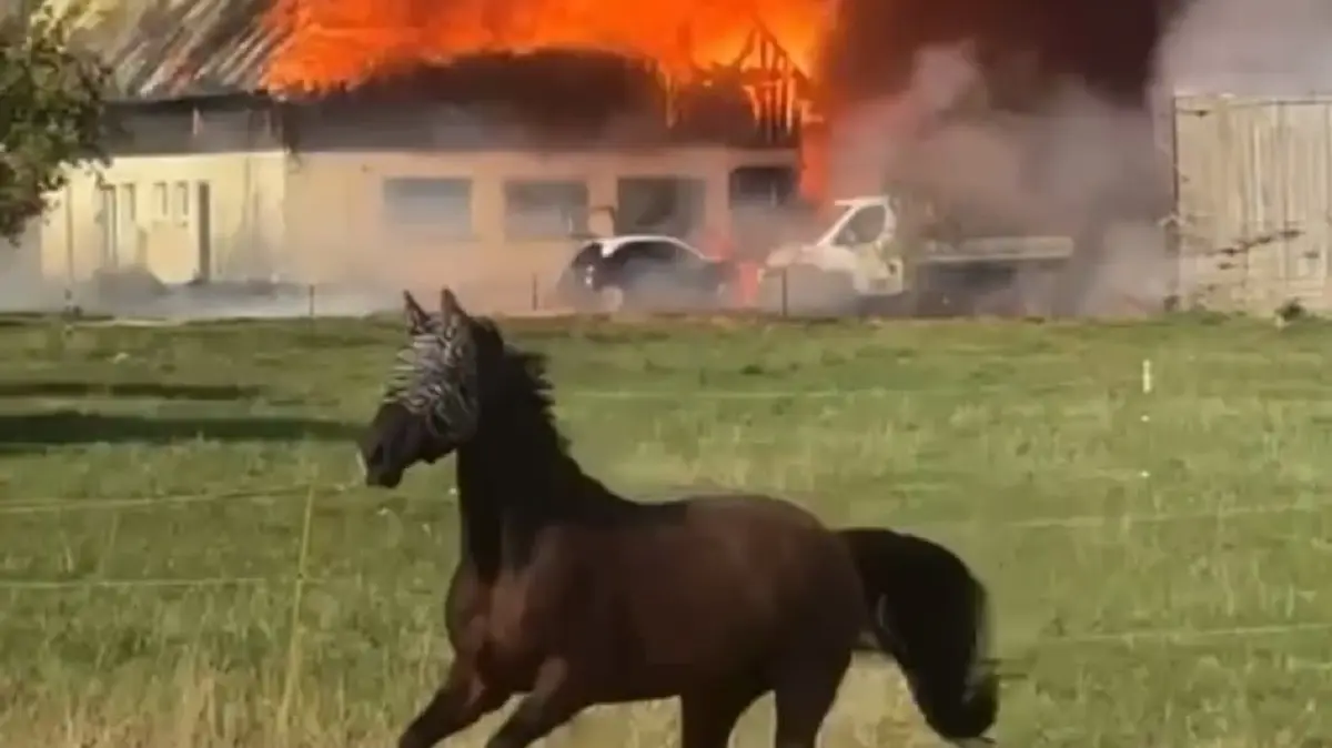 Brand Blaubeuren