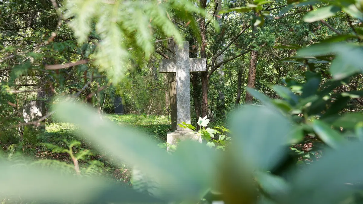 Südwestkirchhof Stahnsdorf: ARCHIV - 02.05.2022, Brandenburg, Stahnsdorf: Ein steinernes Grabkreuz steht zwischen den Bäumen auf dem Südwestkirchhof in Stahnsdorf. (zu dpa: «Rätsel um Friedhofs-Zaun - Wildschweine wühlen auf Gräbern») Foto: Soeren Stache/dpa +++ dpa-Bildfunk +++