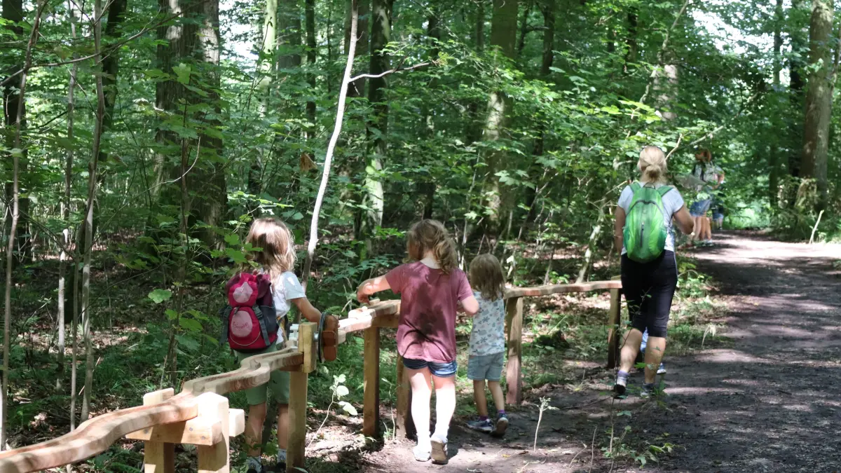 So könnte ein Abschnitt der Waldkugelbahn im Käsenbachtal aussehen.