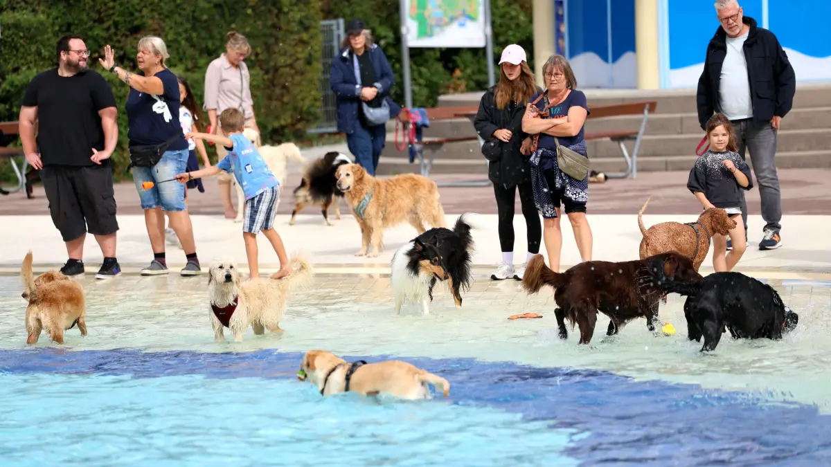 Hundeschwimmen Hunde freibad Reutlingen Wellenfreibad Becken Hund 2026 (Pauscale vereinbart)