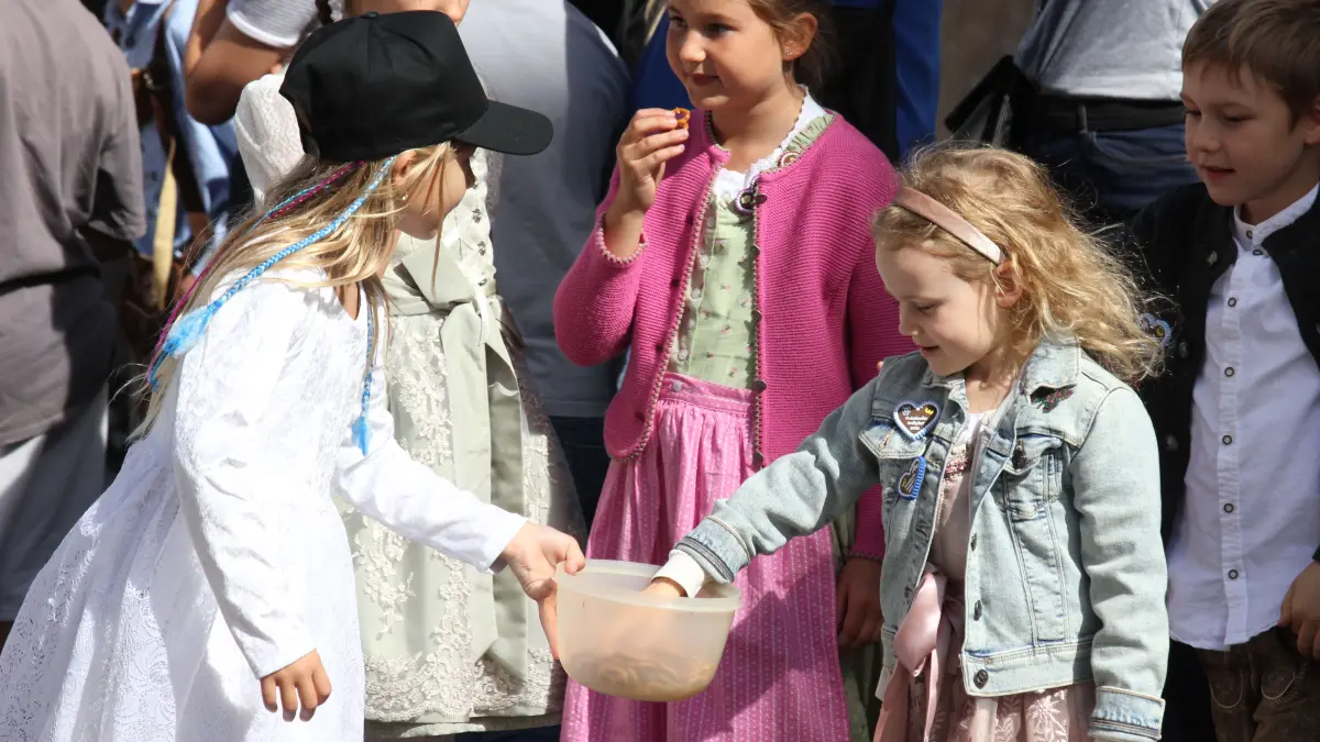 Volksfest in Crailsheim: Der Festumzug der Landwirtschaft