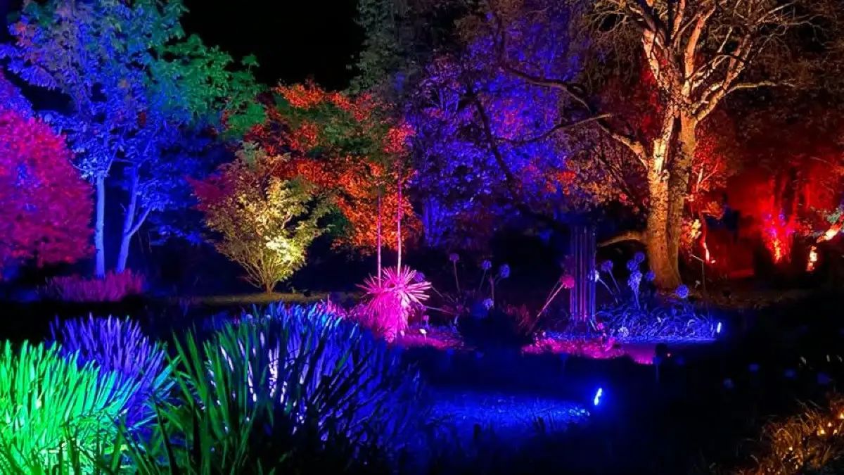 Bei den "Botanischen Lichtern" im Botanischen Garten werden Bäume, Büsche und Wege in bunten Farben angestrahlt.