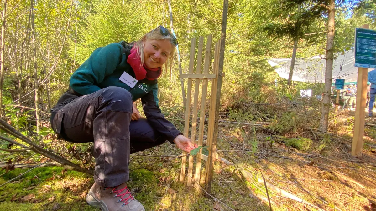 Verena Pfründer, Forstrevierleiterin Dietenheim, Forstverwaltung BW