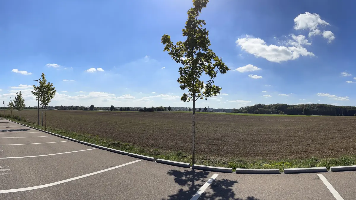 Blick vom Bahnhof Merklingen auf die Fläche, die Gewerbegebiet werden soll - 50 Hektar