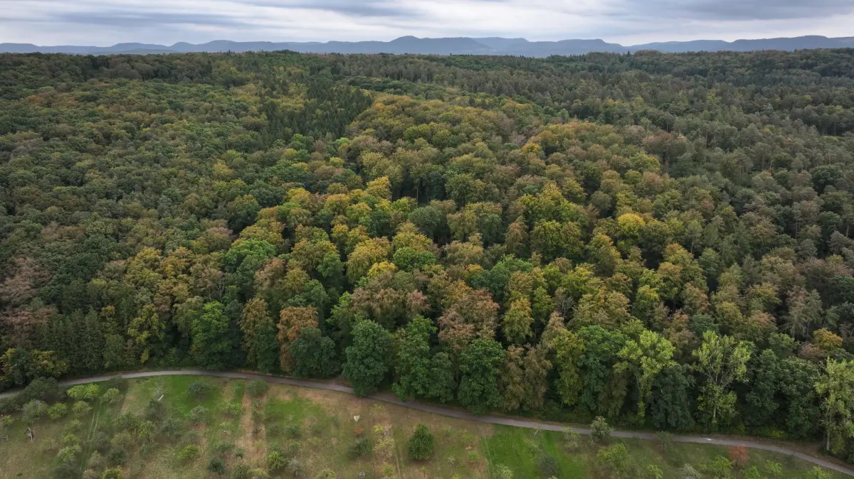 Der Rammert von Weilheim aus gesehen, Erneuerbare Energie, Klimawandel, Klimaschutz, Windpark, Windkraft, Windräder, Windrad, Bürgerinitiative, Protest, Wutbürger, Naturschutz, Wald, Erholung, Bäume, Waldumgang