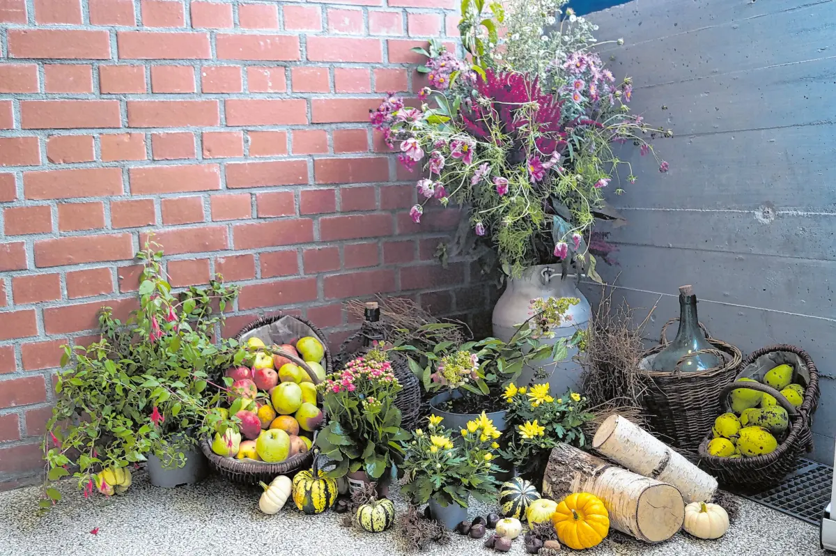 Die herbstliche Blumendeko in der Blautalhalle stammt von den Wippinger Landfrauen.⇥Foto: Petra Starzmann