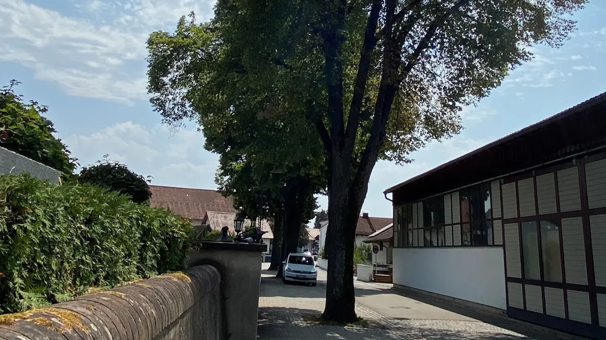100-jährige Linden in Altenstadt