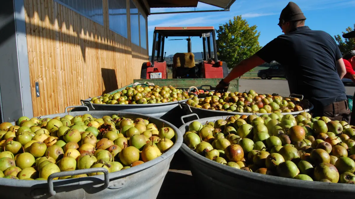 Obstannahme Steinlachtäler