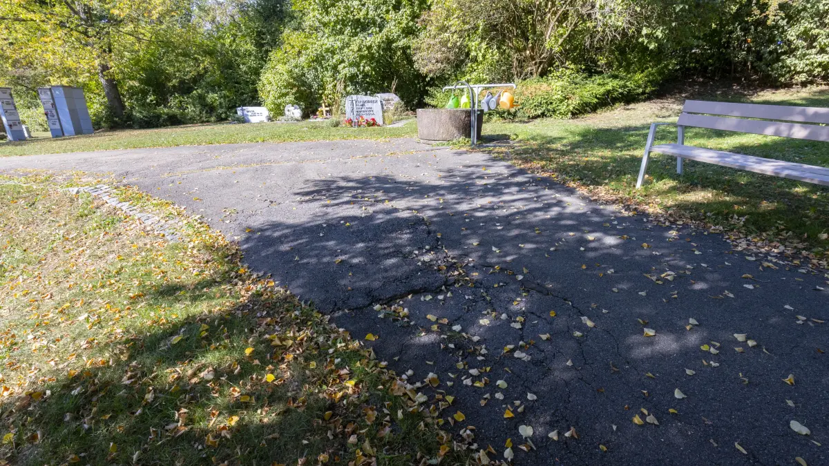 Reichenbach - Friedhof - schlechter Zustand der Wege