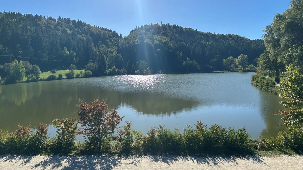 Idyllisch und sonnenbeschienen liegt er da: der Oberdigisheimer Stausee. An dem tobten sich auch in diesem Sommer die Badegäste aus.