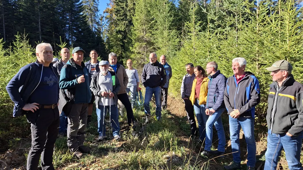 Interessiert hören die Teilnehmer beim Nusplinger Waldbegang den Ausführungen der beiden Forstexperten zu.