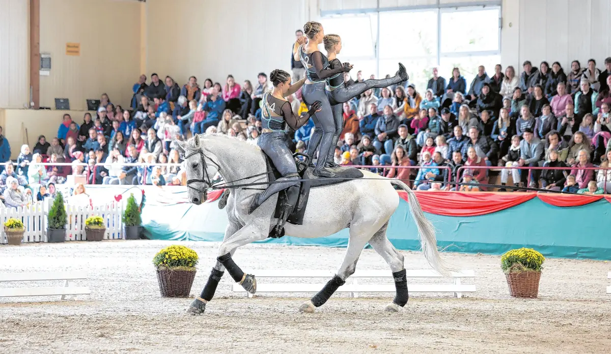 Voltigieren ist eine sehr elegante Art des Pferdesports. ⇥Fotos: Roger Müller