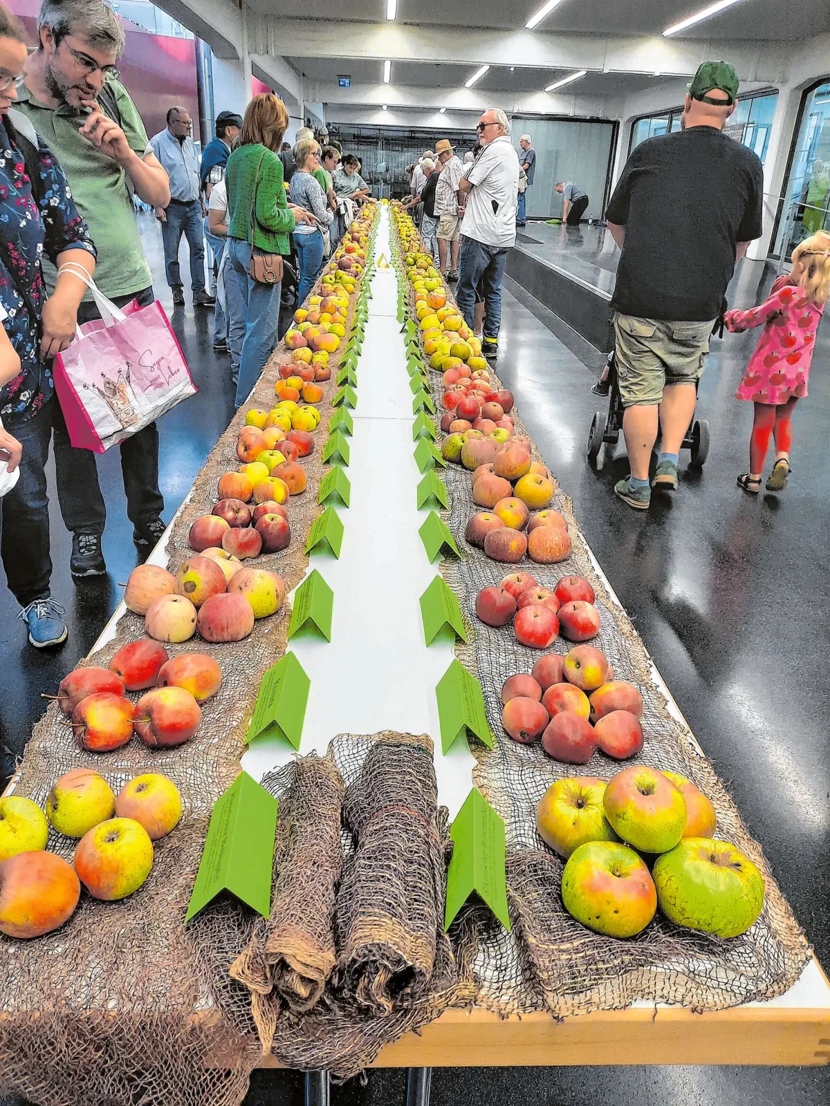 Immer wieder ein Hingucker: die Apfelsortenausstellung. ⇥Archivfotos: Bettina Puth