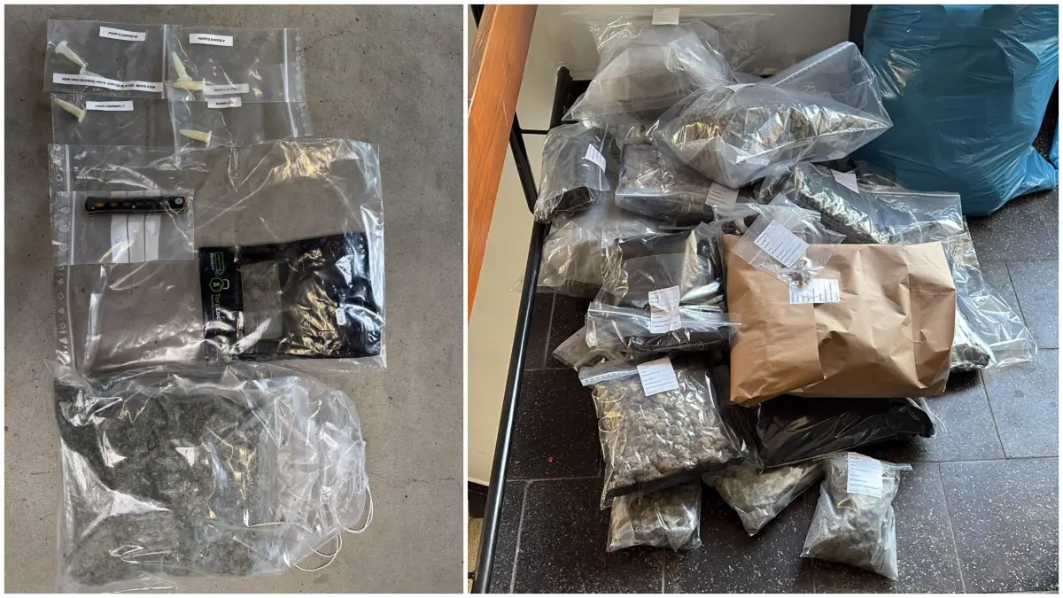 Die Polizei konnte bei Durchsuchungen in Ulm, Neu-ulm und Allmendingen eine große Menge Drogen - insgesamt mehr als 20 kilo - sowei Bargeld, Falschgeld, Gold, Waffen und andere Beweismittel beschlagnahmen.
