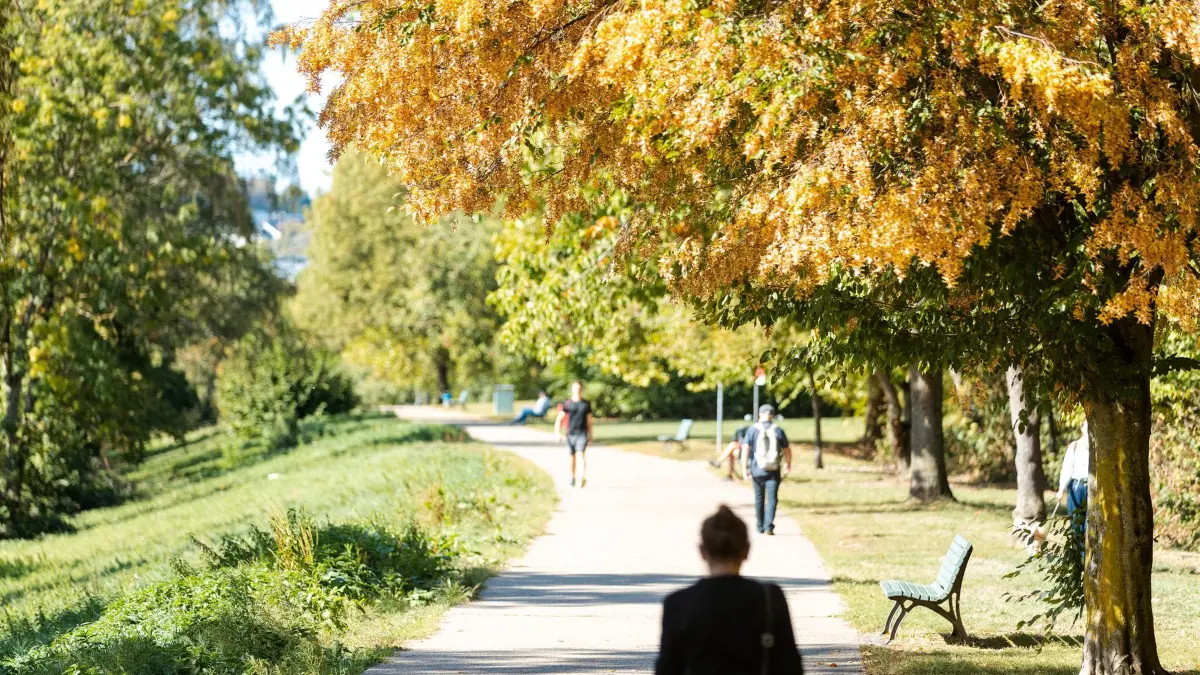Herbst in Saarland: PRODUKTION - 03.10.2026, Saarland, Saarbrücken: Spaziergänger nutzen auf dem Saarleinpfad die milden Herbsttage für eine kleine Auszeit in der Natur. Entlang der Saar zeigt sich der goldene Oktober in leuchtenden Farben. Foto: Laszlo Pinter/dpa +++ dpa-Bildfunk +++