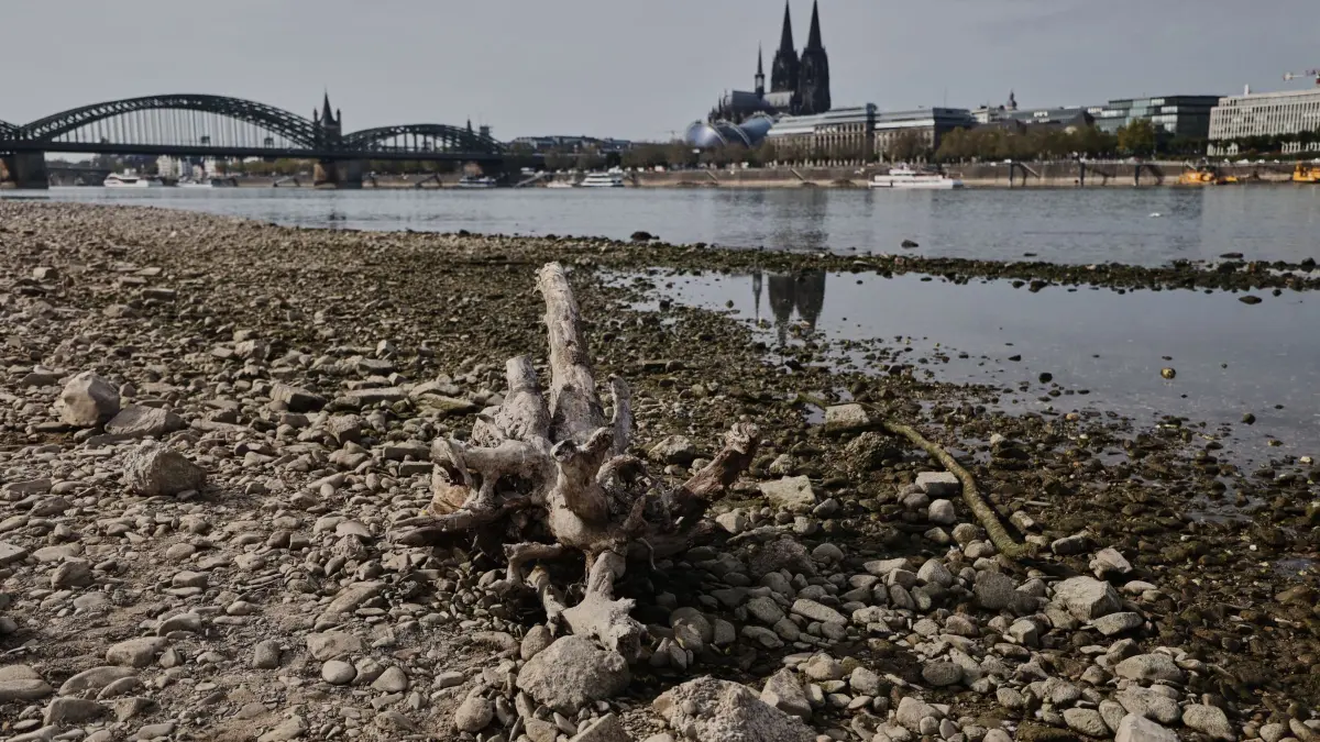 Niedrigwasser am Rhein in Köln: Der Dom spiegelt sich am Rheinufer in Köln im Wasser. Die außerordentlich niedrigen Pegelstände am Rhein erschweren den Schiffsverkehr weiter. (zu dpa: «Flüsse führten so wenig Wasser wie seit gut 30 Jahren nicht»)