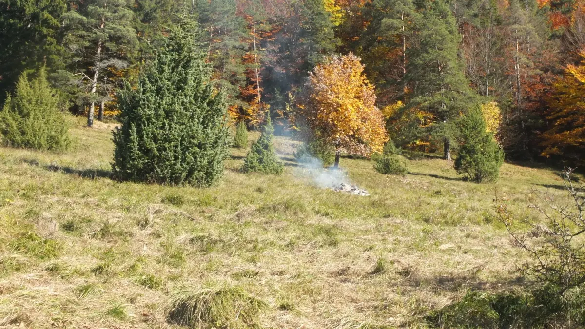 Wacholderhalde in Albstadt-Tailfingen: Auch hier wird gepflegt.