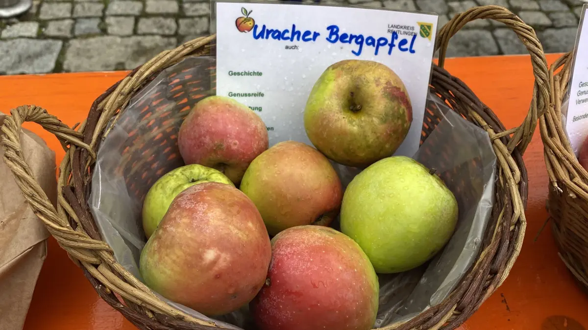 Apfelfest Bad Urach