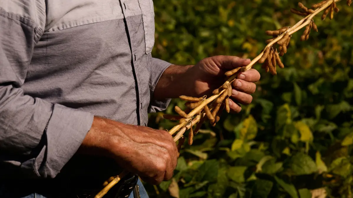 Fuel, fertilizer costs batter US farmers ahead of midterms: Joe Logan, 77, farms soybeans on his farm in Kinsman, Ohio on September 27, 2026. As soybean farmer David Schacht begins his fall harvest, surging diesel and fertilizer costs are fast outpacing his earnings. He insists this has not changed his support for President Donald Trump's Republican Party.
Still, he told AFP: "I did vote for Trump, and it kind of makes you grit your teeth. Just, what are you doing?" (Photo by DUSTIN FRANZ / AFP) / TO GO WITH AFP STORY BY BEIYI SEOW