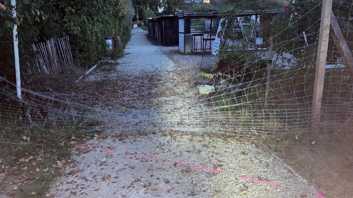 Bereits drei Tage nach dem Ende der Gartenschau gibt es Schäden.