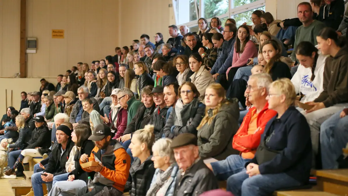 Impressionen Hohenzollern Reitturniere 2026