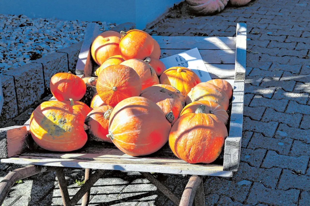 Liebevolle private Herbstdeko in Pfuhl.⇥