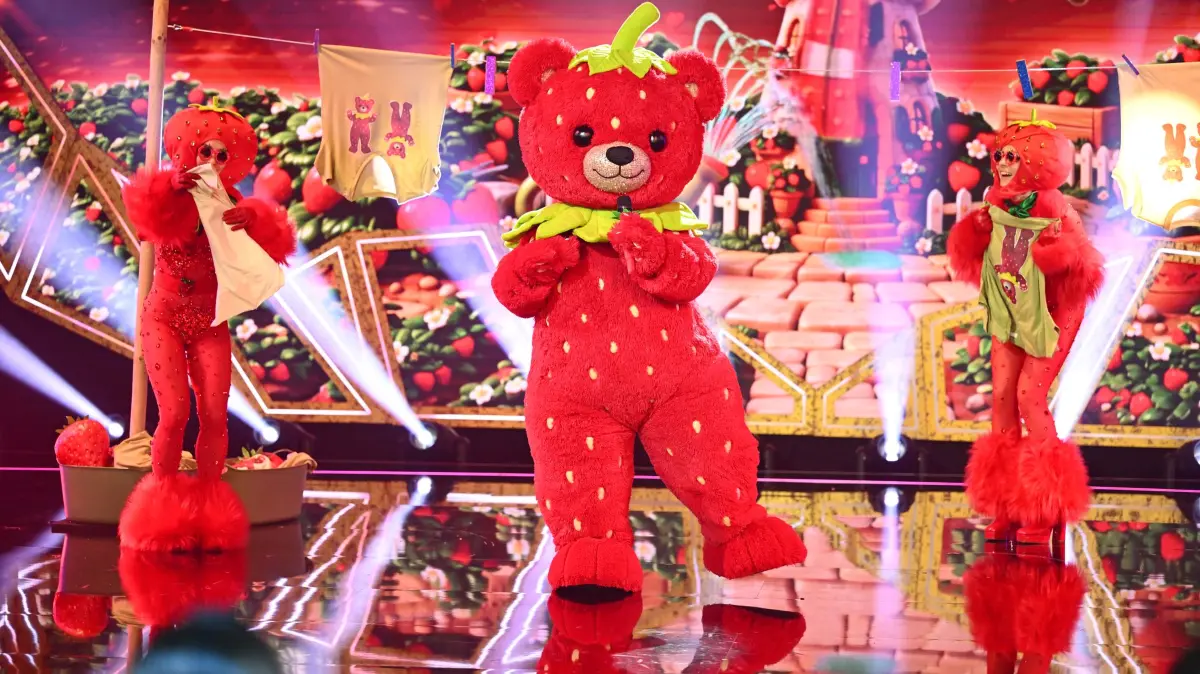 Am 14. Oktober 2026 wurde der neunte Undercover-Star der neuen „The Masked Singer“-Staffel enthüllt.
