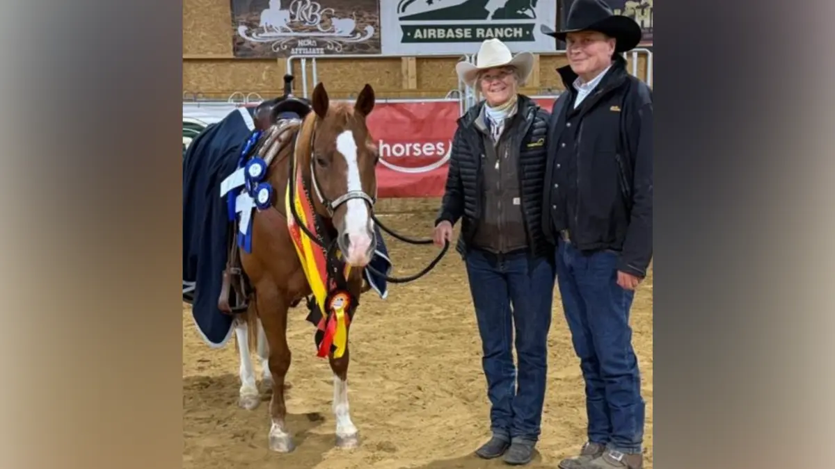 Ute Holm und Dirk Schäuble, Rottenburg, mit Quarterhorse "Just Getting Started". Deutsche Meister (Profis sowie Amateure) in der Westernreitdisziplin Cutting 2026 (Neuruppin)