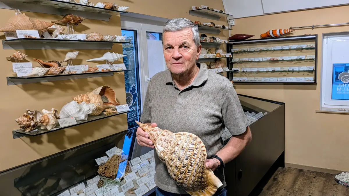 Bernd Kapitza mit einem sogenannten Tritonshorn: Es ist das Gehäuse einer großes Meeresschneckenart.