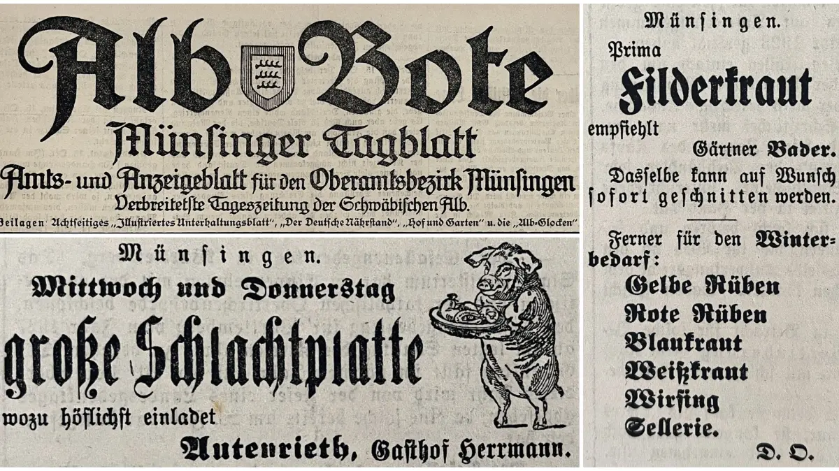 Alb Bote 1926