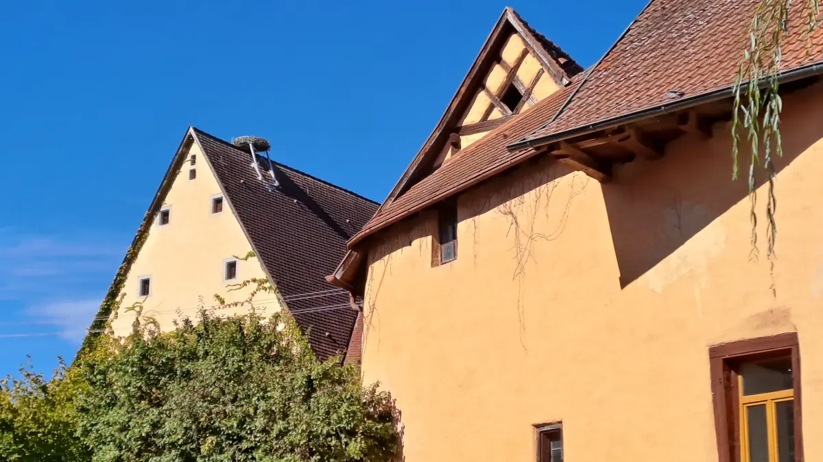 Unterbau für ein Storchennest auf dem ehemaligen Feuerwehrhaus in Hirrlingen (Herbst 2026)