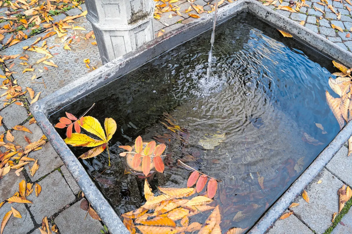 Stille Momente am Rande der Kirchweih: Der Herbst ist auch im Söflinger Klosterhof angekommen: ⇥Foto: Petra Starzmann