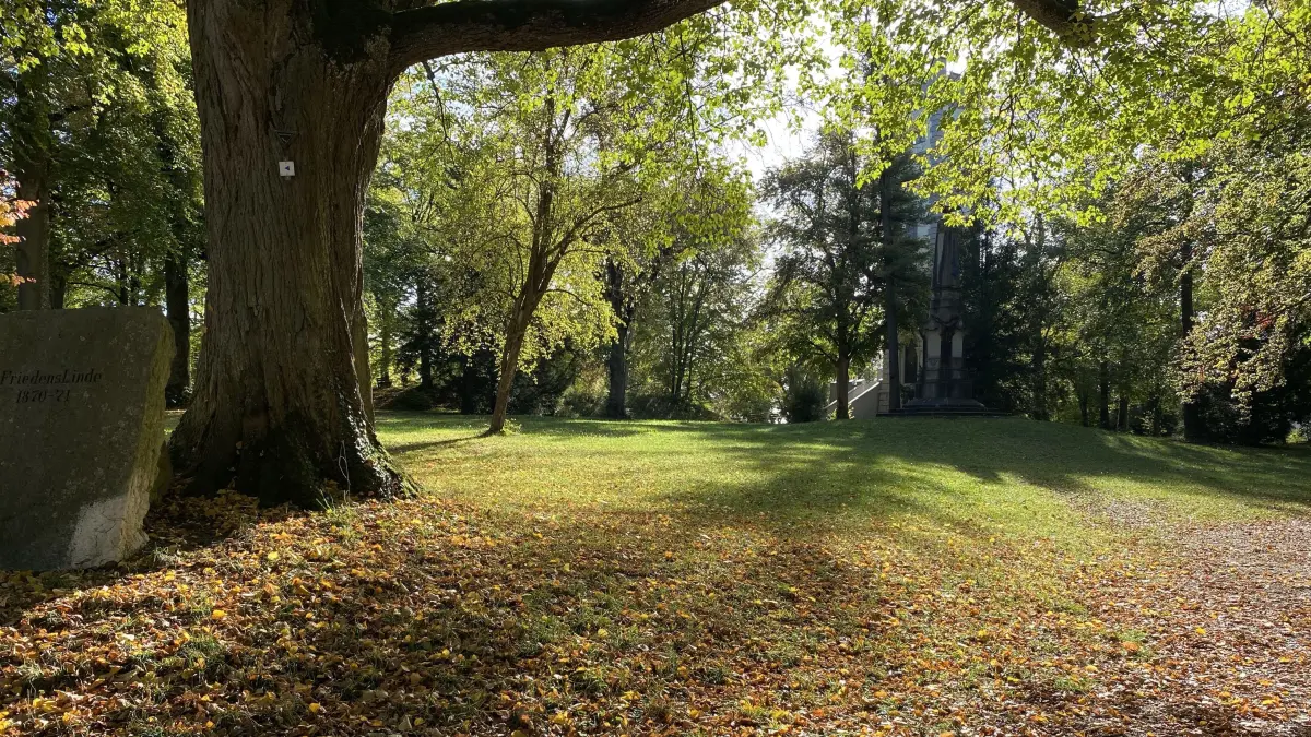Die Wolfertanlage in Ehingen. In dem Park soll nun eine Toilette aufgestellt werden.