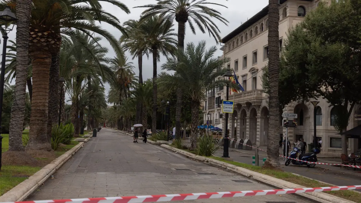 Wetter auf Mallorca: 18.10.2026, Spanien, Palma: Die Polizei sperrt die Promenade „Passeig Sagrera“ in Palma für den Verkehr. Der Sturm „Adam“ zieht gerade über die Insel hinweg, und für die Bevölkerung wurde eine rote Warnstufe ausgerufen. Foto: Clara Margais/dpa +++ dpa-Bildfunk +++