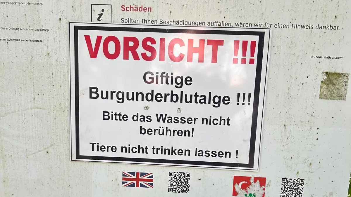 Die Stadt Schömberg hat am Schömberger Stausee entsprechende Warnschilder angebracht.