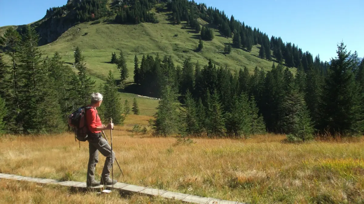 Sanfte Landschaft - auf dem Bohlenweg durchs Hochmoor unterhalb der Westflanke des Spiesers