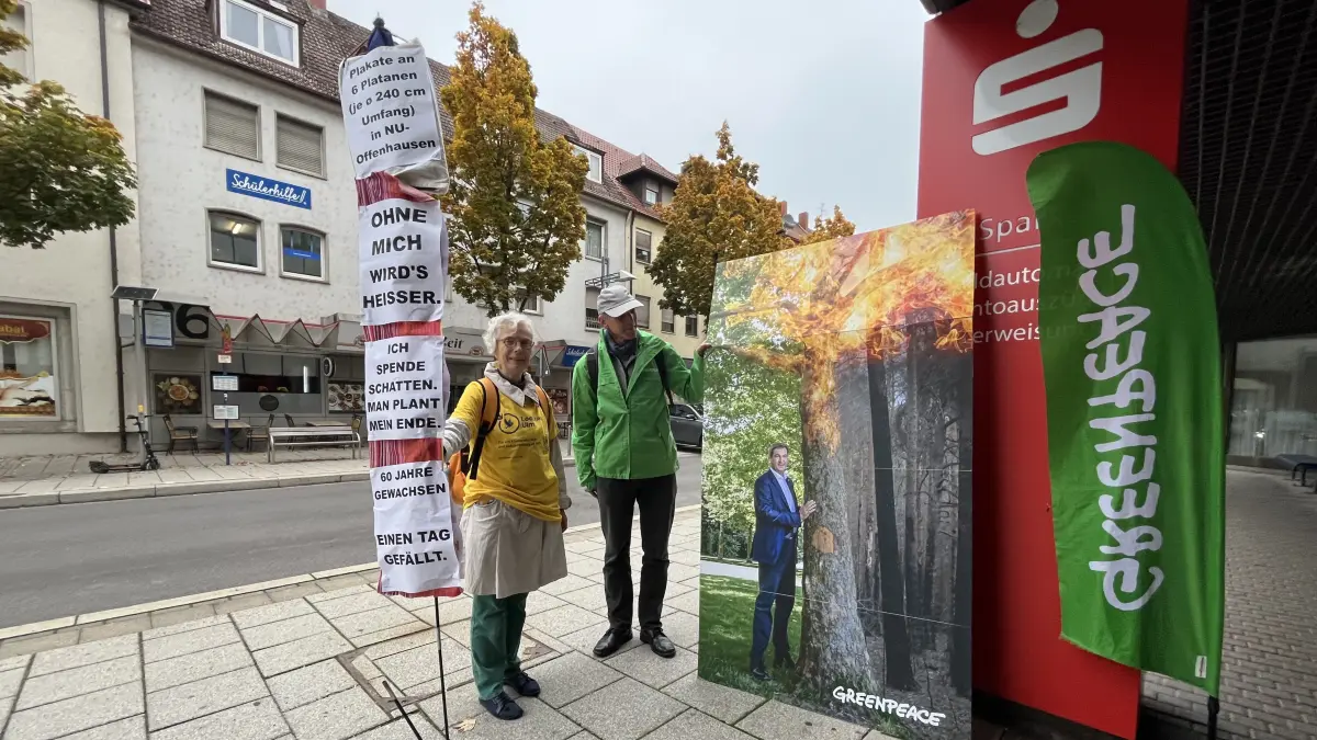 Sogar mit einer kleinen Kundgebung warben Umwelt- und Klimaschützer am Dienstag für eine Baumschutzsatzung in Neu-Ulm. Doch die meisten Stadträte zeigten sich davon unbeeindruckt.