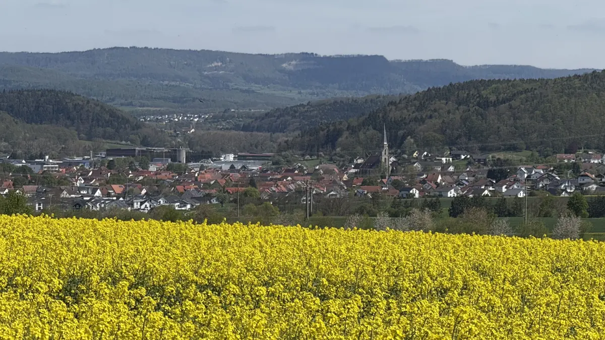 Die Kooperation zwischen Gemeinde und externem Berater gibt Rangendingen und Ortsteilen eine neue Perspektive, wenn es um den Ausbau des Glasfasernetzes geht. (Archivfoto vom 27. April 2025)