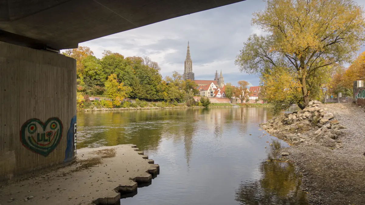 Wenig Wasser in der Donau: Was bedeutet das für die Stadt, die Stromerzeugung, die Lebewesen im Fluss?