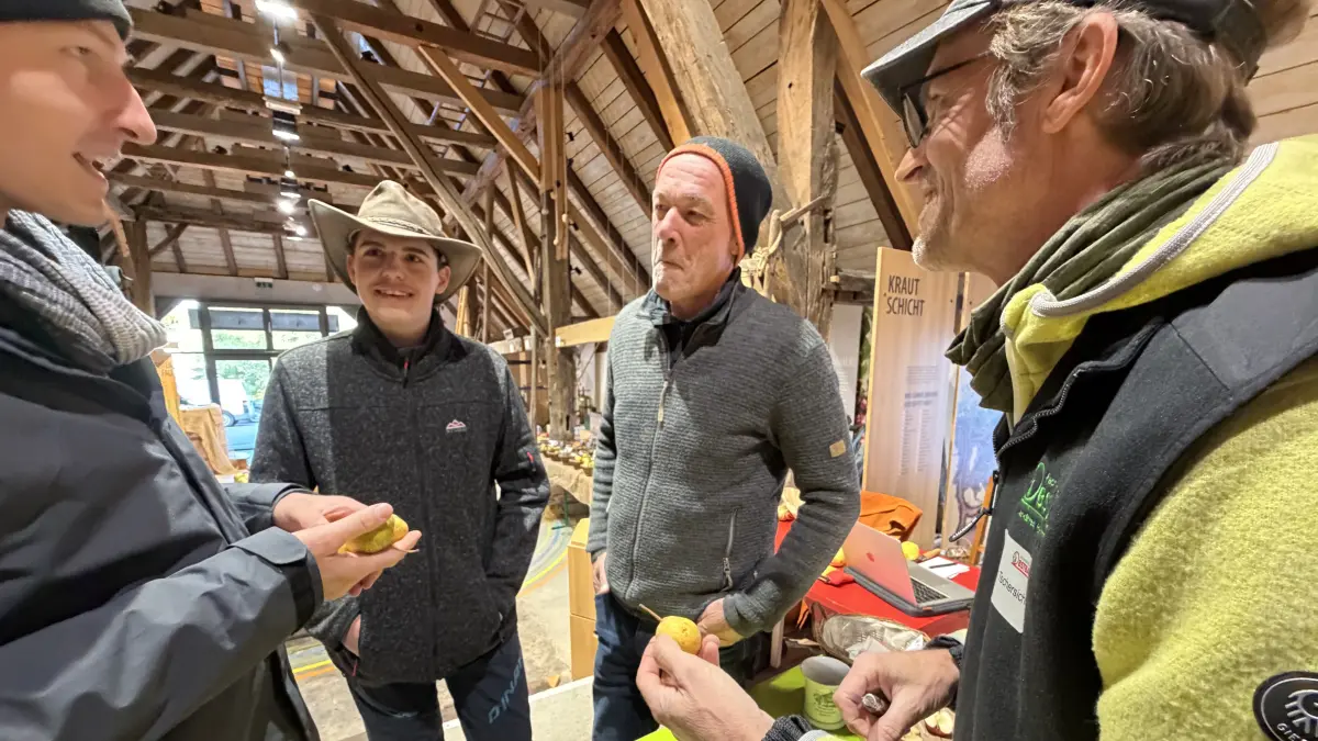 140 Sorten wurden im Obstbaumuseum Glems präsentiert: Für die Fachleute gab es viel zu bereden; (von rechts) Thilo Tschersich, Hans-Thomas Bosch, Felix Fecht und Fabio Ruoff. Foto: Bernd Ruof