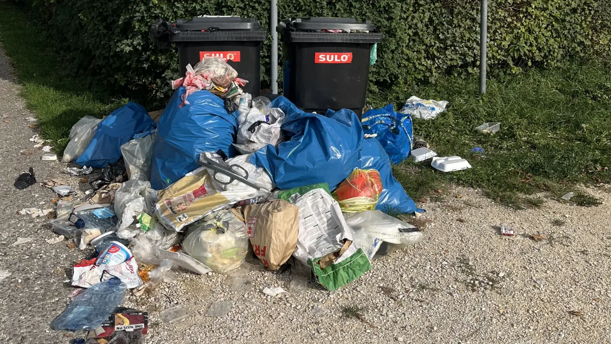 Immer wieder wird in Neu-Ulm an Container-Stellplätzen einfach alles möglicher Müll abgeladen. So wie hier in der Nähe des Wohnmobil-Stellplatzes. Dagegen will die Stadt nun vorgehen.