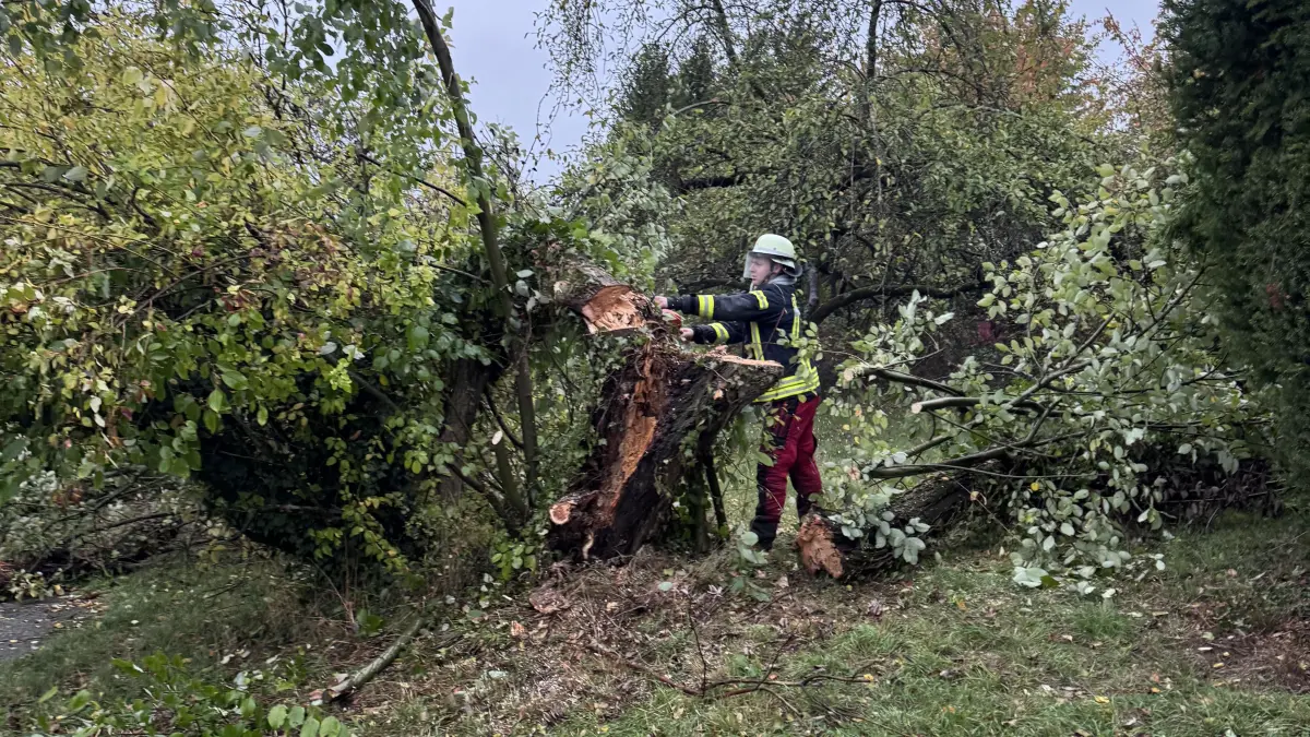 Freiwillige Feuerwehr Kuchen zersägt Baum, der am 25.10.2026 wegen des starken Winds und Unwetter im Wohngebiet Sommerberg (Tegelbergstraße) umgefallen war.