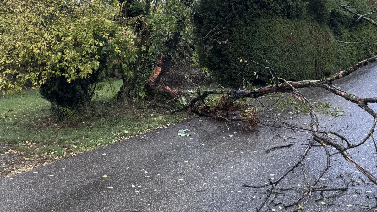 Freiwillige Feuerwehr Kuchen zersägt Baum, der am 25.10.2026 wegen des starken Winds und Unwetter im Wohngebiet Sommerberg (Tegelbergstraße) umgefallen war.
