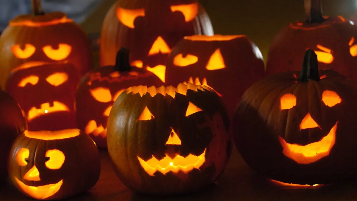 Beleuchtete "Halloween"-Kürbisse stehen am Montag (26.10.2004) auf einem Bauernhof in Kamen. Die schaurigen Fratzen zu Halloween sind auf immer mehr Produkten zu finden. Kaum ein Laden, der sich nicht an der Kürbishysterie beteiligt. Foto: Franz-Peter Tschauner dpa/lnw (zu dpa-Korr: "Kürbis-Kult lässt Kassen klingeln" vom 26.10.2004) +++ dpa-Bildfunk +++